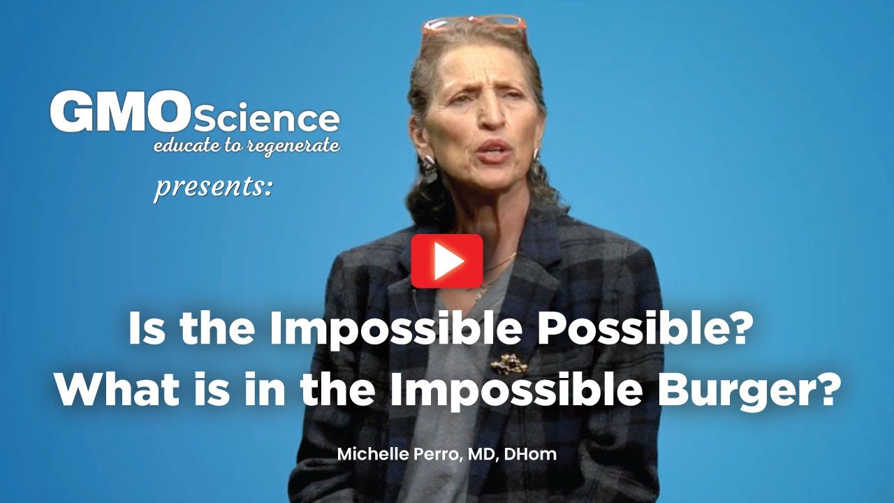 Is the Impossible Possible? What is in the Impossible Burger?