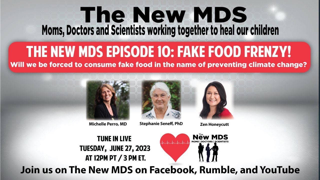 The New MDS - Episode 10 - "Fake Food Frenzy!"
