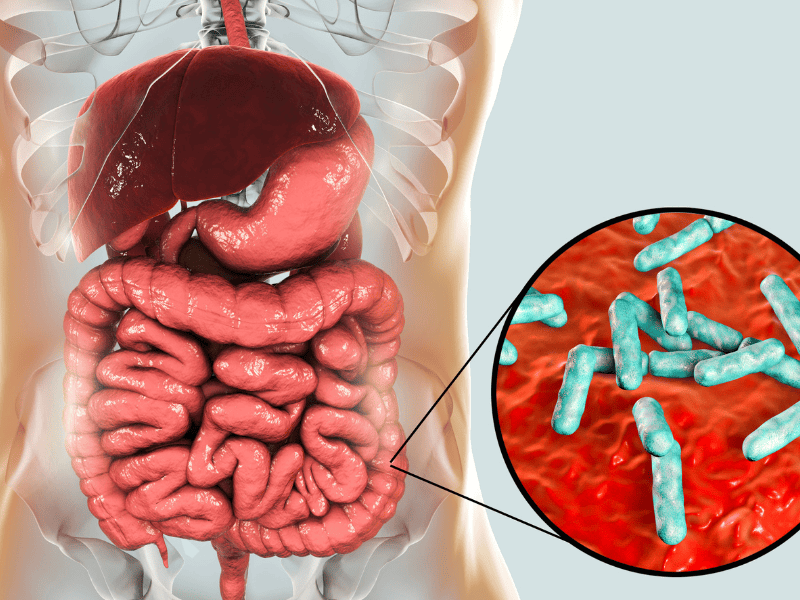 Microbiome Health for Kids: The Effects of Pesticides in the Diet