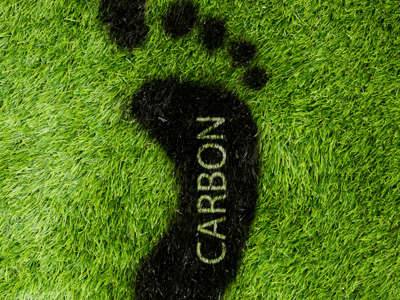 Turning Sewage Sludge and Food Waste into Carbon Free Vehicle Fuels