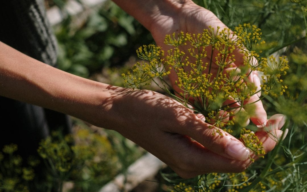 Transforming the Food System