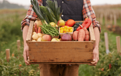 Many Factors Fuel Demand for Transformation of Our Food System