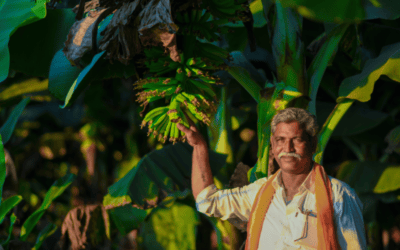 India Takes Steps to Reduce Glyphosate Use in Agriculture