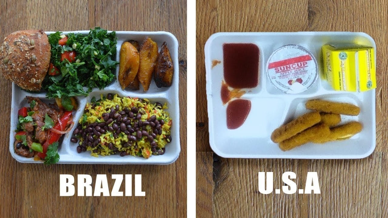 New Study Reveals What’s in Our Kids’ School Lunches? GMOScience