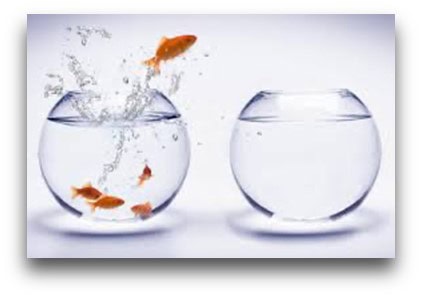Challenge the status quo
