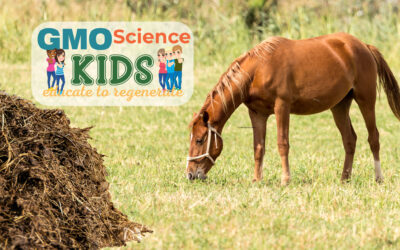 Healthy Soil = Healthy Kids