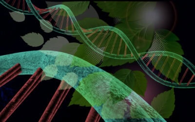 RNA Spray Crops vs. GMOs:  A Physician’s Warning on Terrana Biosciences