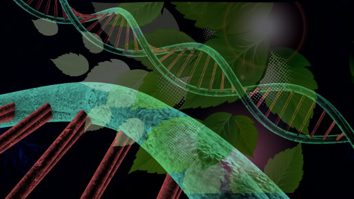 RNA Spray Crops vs. GMOs: A Physician’s Warning on Terrana Biosciences