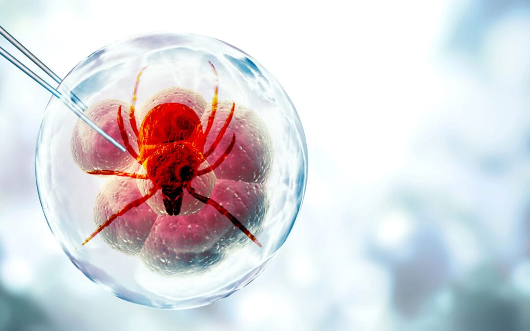 Bioengineering Without Boundaries:  Why Lyme Disease Belongs in the GMO Debacle